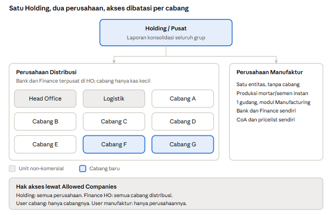 struktur organisasi multi branch - multi company